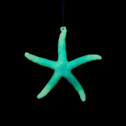 Kurt Adler Glow In The Dark Blue Starfish Ornament -Christmas Loft Shop 013756C 1 22315.1758212757