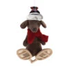 Winter Sport Dog On Snow Shoes Ornament
