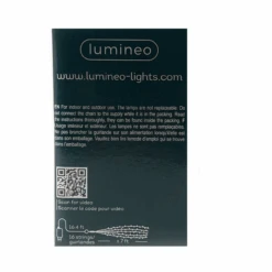 Lumineo 672 Micro-LED Warm White Flashing Lights Green Wire -Christmas Loft Shop 070223 other side done 51731.1668958881