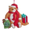 Kurt Adler Funny Orange Fat Cat "All I Got For Christmas Was Fat" Ornament
