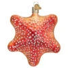 Old World Christmas - Red Starfish Ornament