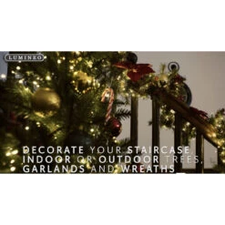 Lumineo 500 LED Warm White Compact Lights Green Wire 9 Lumineo 500 LED Warm White Compact Lights Green Wire -Christmas Loft Shop 1 lumineo compact warm 1000 DONE 5 14176.1722425945