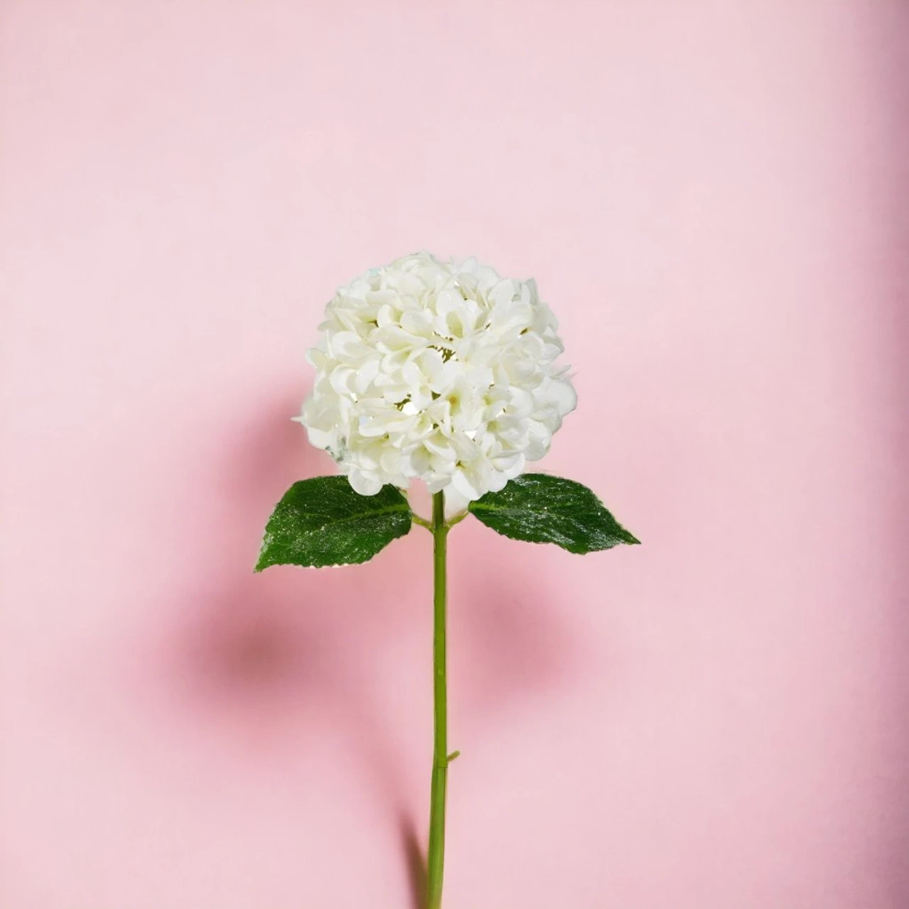 Iced White Hydrangea Stem 2 Iced White Hydrangea Stem - Image 2