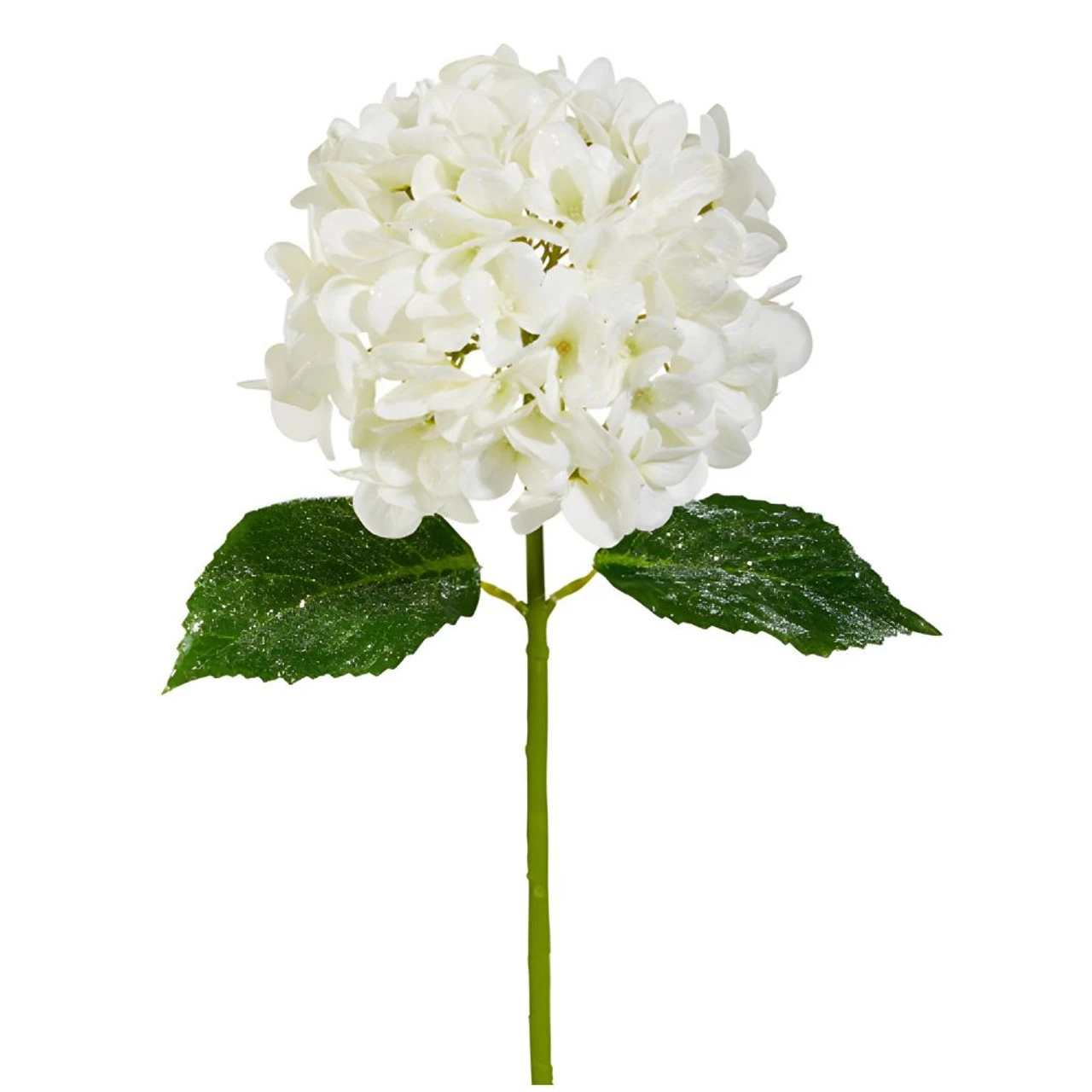 Iced White Hydrangea Stem 1 Iced White Hydrangea Stem