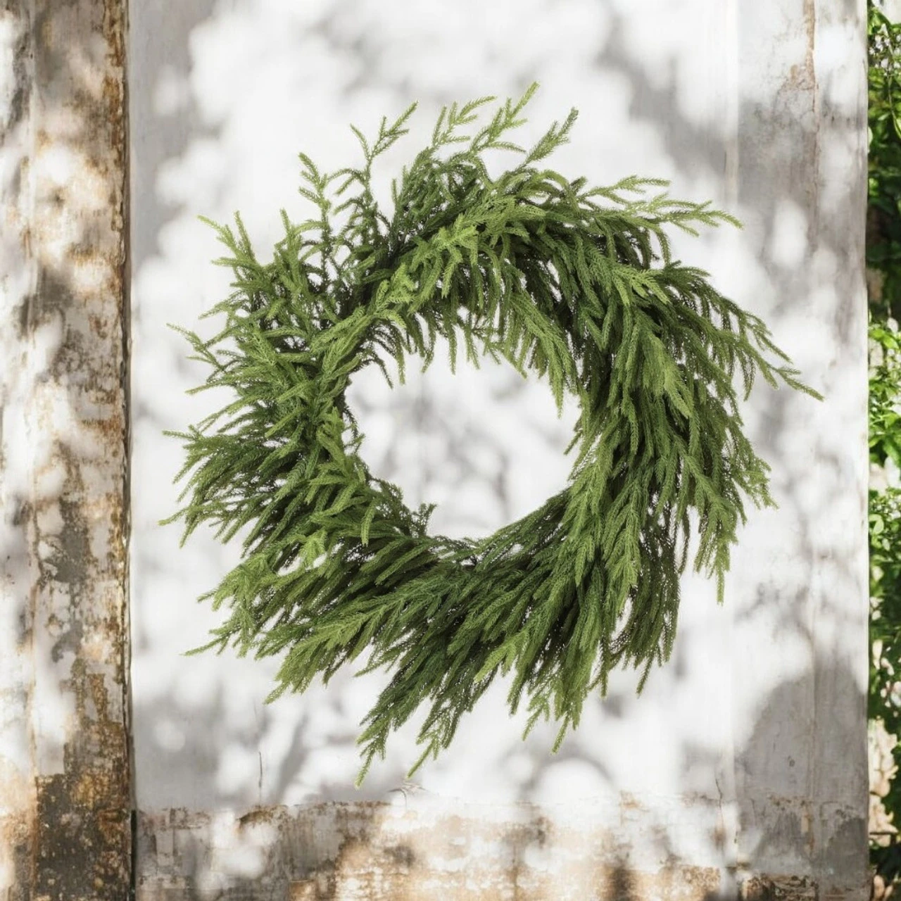 30in Just Cut Natural Touch Norfolk Pine Wreath 2 30in Just Cut Natural Touch Norfolk Pine Wreath - Image 2