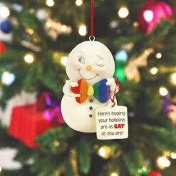 Department 56 Snowpinions - Hope Your Holidays Are Gay Ornament -Christmas Loft Shop 414224 3 Photoroom 65717.1745340846