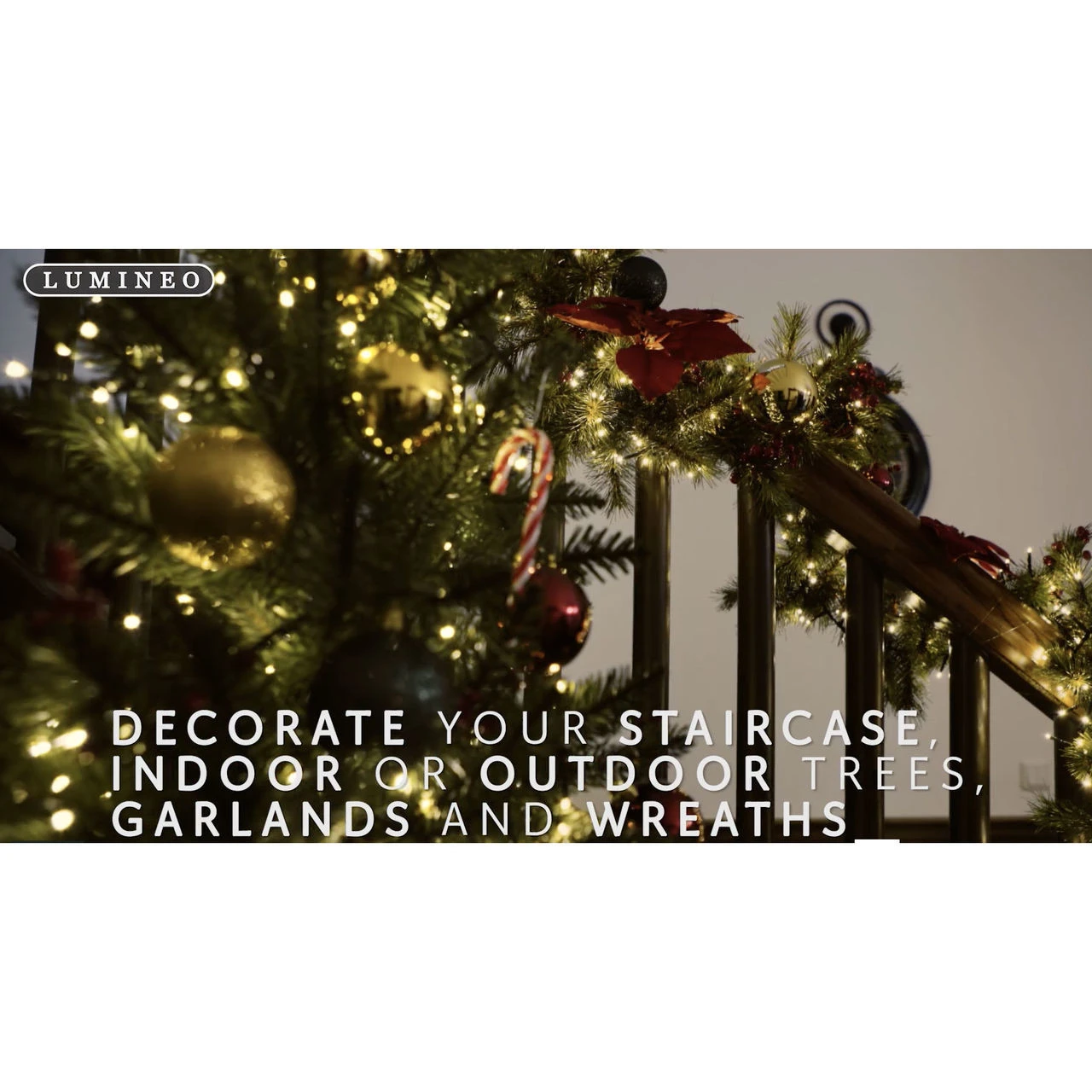 Lumineo 2000 LED Warm White Compact Lights Green Wire 7 Lumineo 2000 LED Warm White Compact Lights Green Wire - Image 7