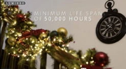 Lumineo 500 LED Warm White/Multi-Color Changing Compact Lights Green Wire -Christmas Loft Shop 5000 hours 91225.1604880396