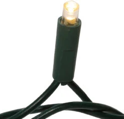 Kurt Adler 50 LED 5MM Warm White Twinkle Lights Green Wire -Christmas Loft Shop 51plS0iW3WL. AC SL1000 70403.1600779978