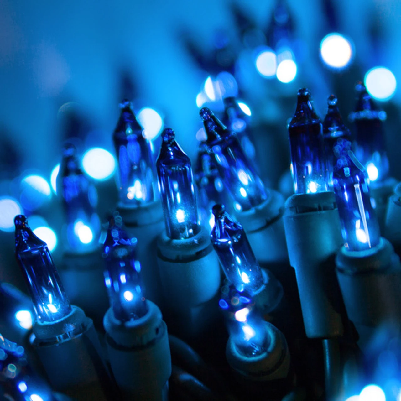 50 LED Blue Incandescent Style Lights Green Wire 2 50 LED Blue Incandescent Style Lights Green Wire - Image 2