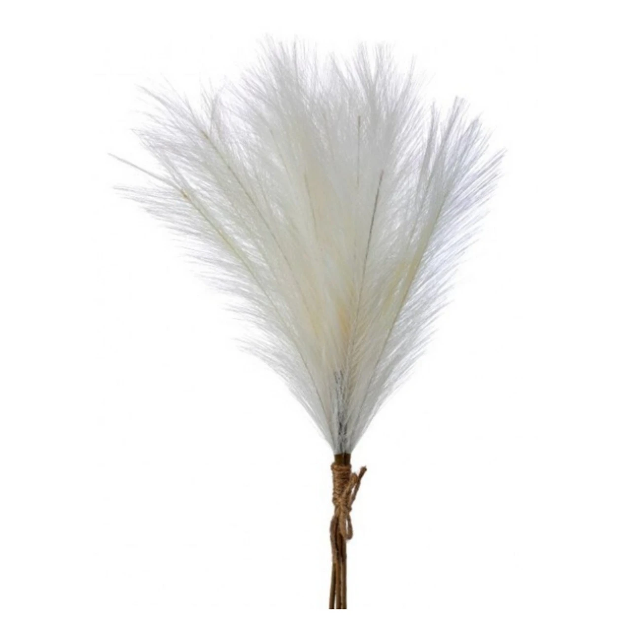 Cream Feather Pampas Grass Bundle 1 Cream Feather Pampas Grass Bundle