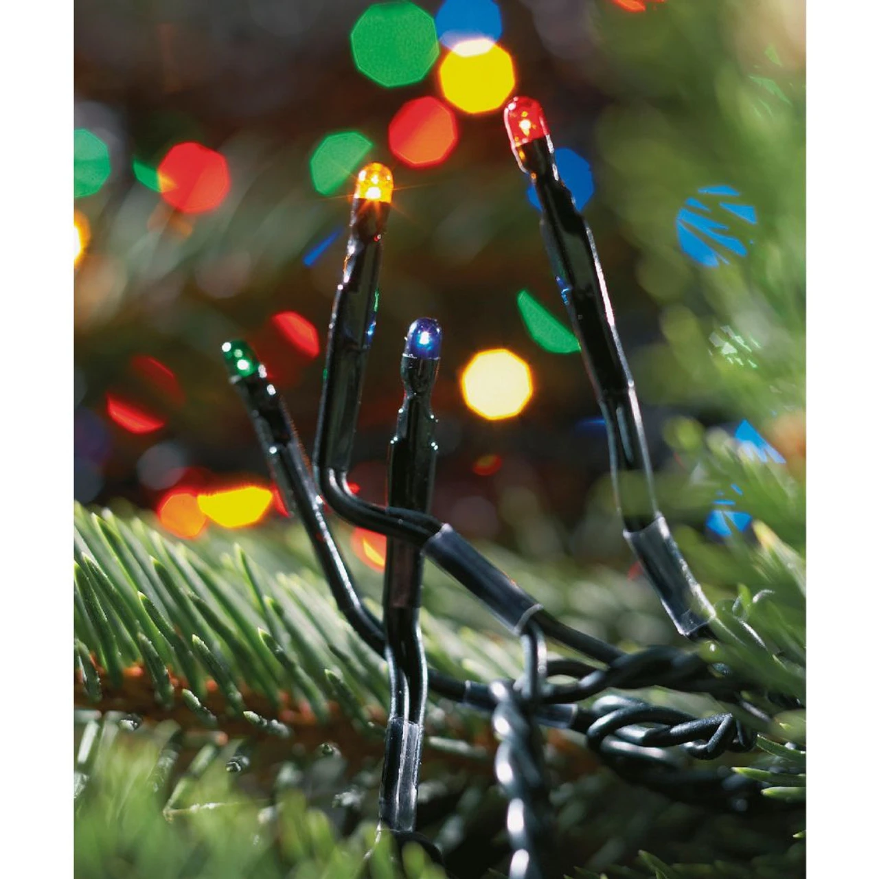 Lumineo 1512 LED Multi-Colored Cluster Lights Green Wire 4 Lumineo 1512 LED Multi-Colored Cluster Lights Green Wire - Image 4