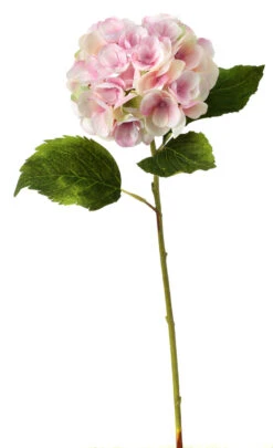 Christmas Loft Shop -Christmas Loft Shop MTF20959 BLSH 85808.1493357043