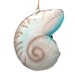 Coral Reef Snail Shell Ornament -Christmas Loft Shop Snail Shell Edited2 10089.1717598441