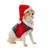 Kurt Adler Yellow Labrador Retriever With Plaid Coat And Santa Hat Ornament
